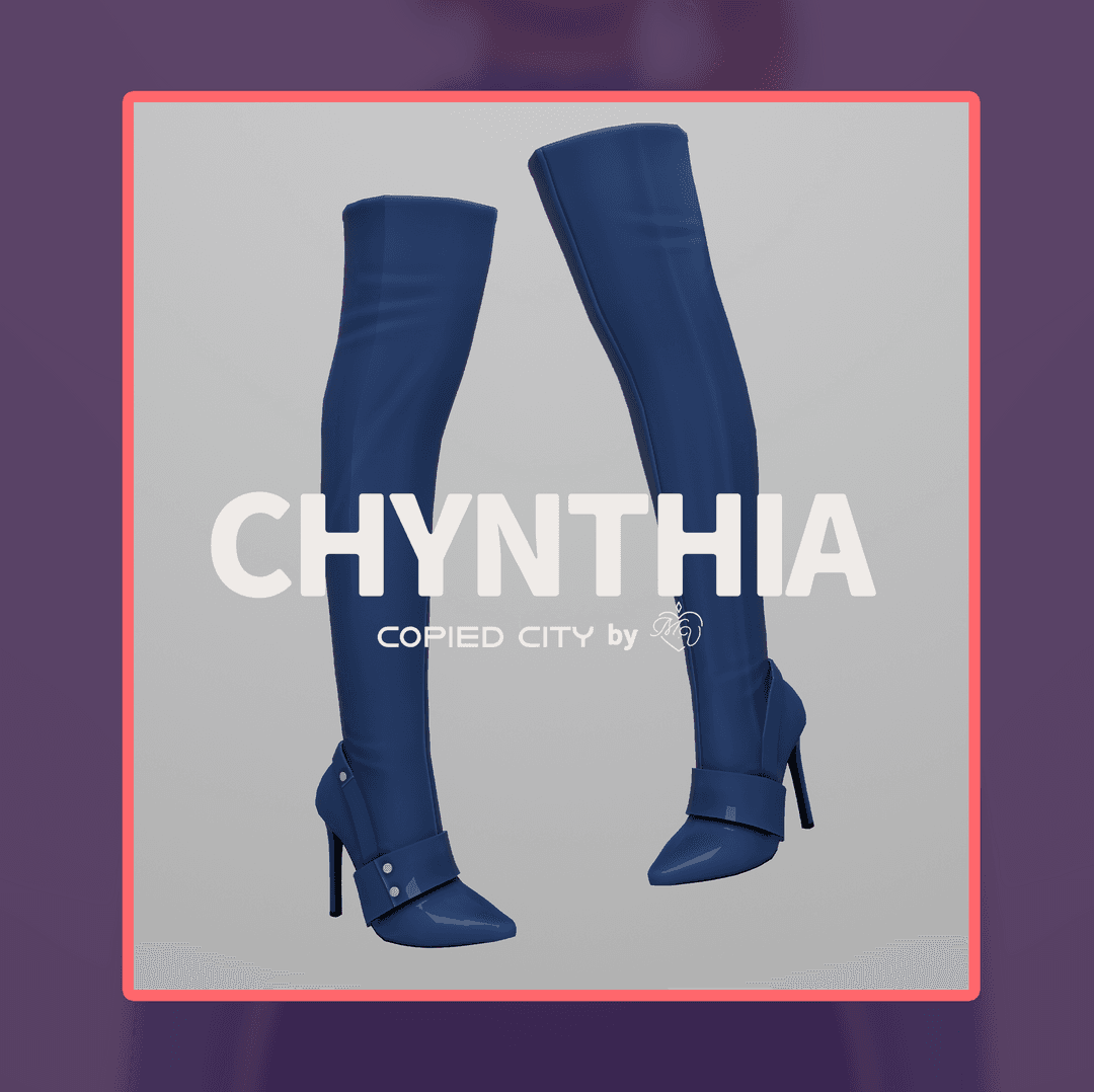 Сапоги Chynthia Boots